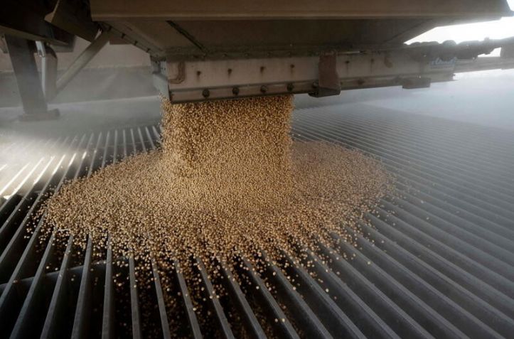 Condiciones del cultivo de maíz empeoran por cuarta semana consecutiva en EEUU