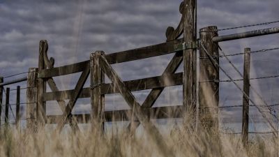 El Estado se queda con $58 de cada $100 de la renta agrícola