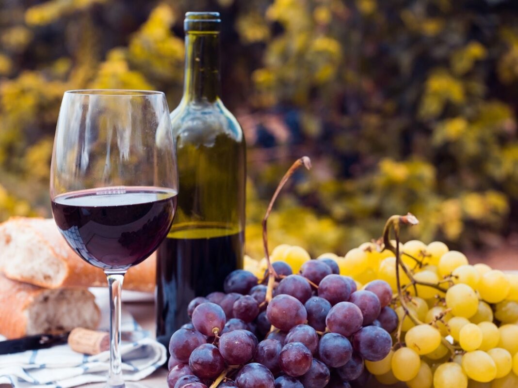 Se entregarán $210 millones para potenciar 102 proyectos de turismo del vino en el país