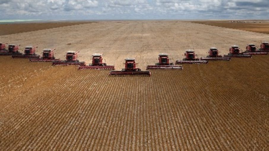 La influencia del campo en el Congreso: más de la mitad de los legisladores brasileños tienen origen agropecuario