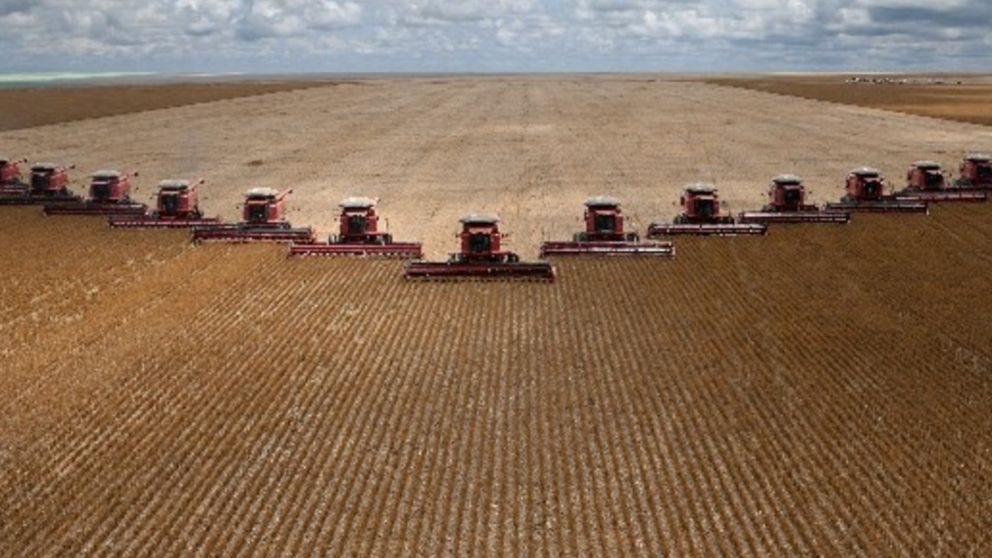 La influencia del campo en el Congreso: ms de la mitad de los legisladores brasileos tienen origen agropecuario