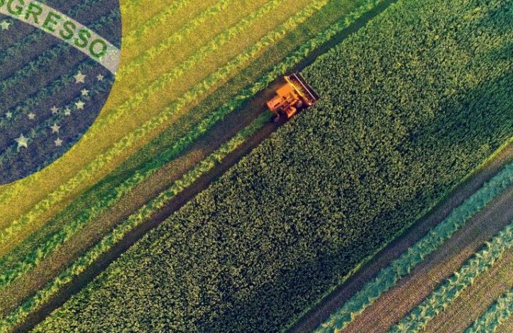 La influencia del campo en el Congreso: más de la mitad de los legisladores brasileños tienen origen agropecuario