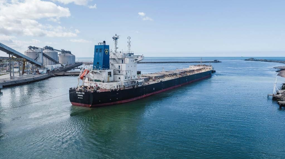 Desafíos en las exportaciones agroindustriales: solo 11 de 35 sectores logran incrementar sus ventas al exterior