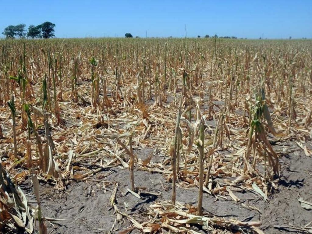 Sequía: el Gobierno firmó convenios con Entre Ríos y La Pampa