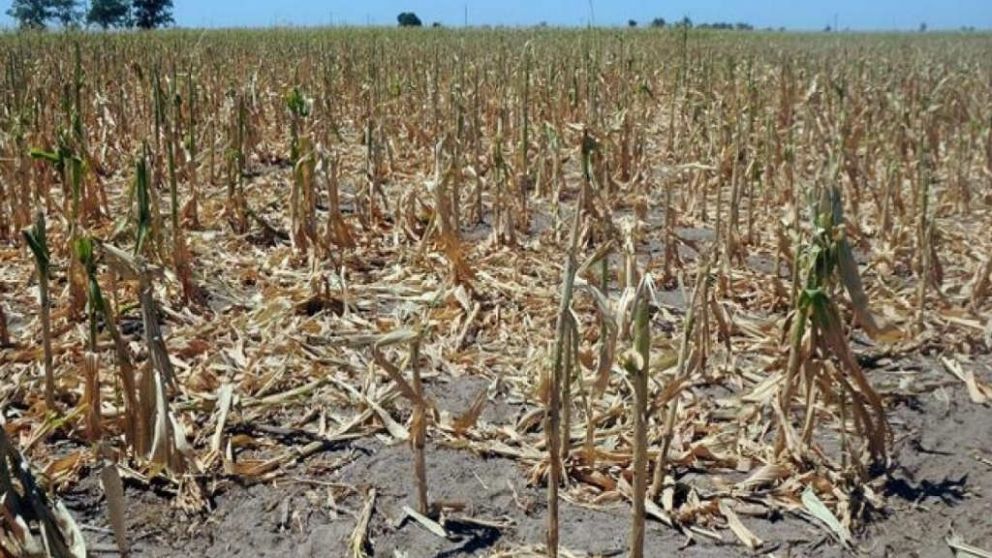 Sequa: el Gobierno firm convenios con Entre Ros y La Pampa