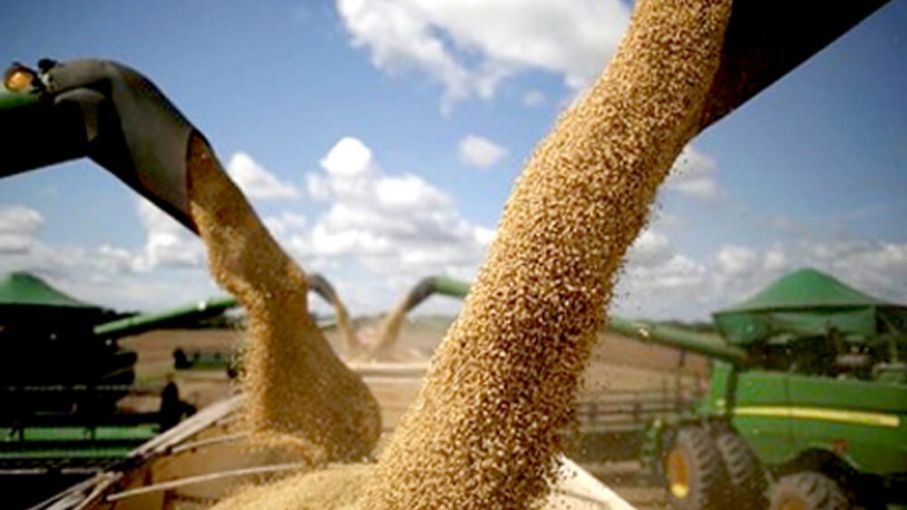 Precios agrícolas afectados por oferta mundial y condiciones climáticas