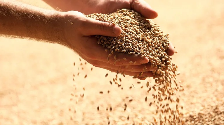 ASA planteó que la innovación con conocimiento científico es el futuro para el desarrollo del país
