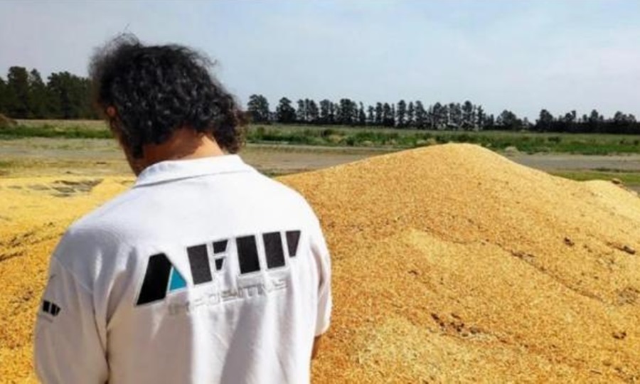 La AFIP reclama $3.000 millones a una agroexportadora por subfacturación