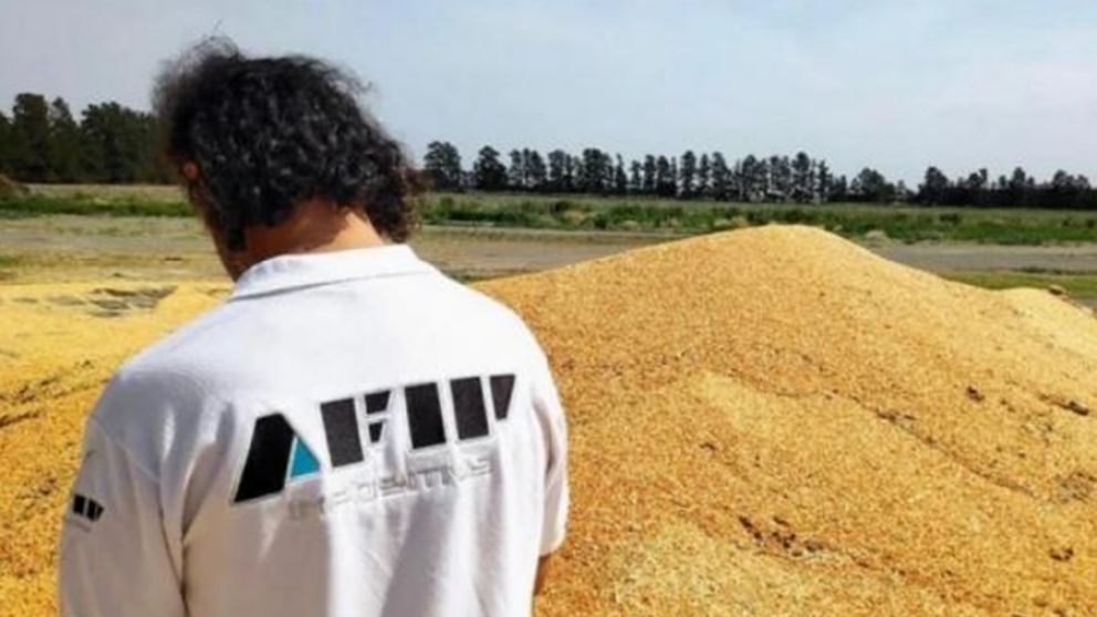 La Afip detect irregularidades con granos en un establecimiento ganadero en Crdoba