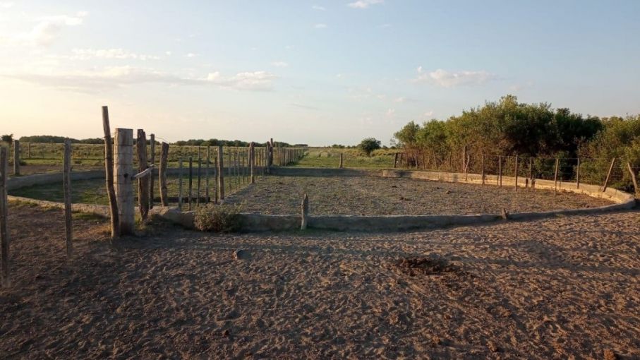 Santa Fe evalúa prorrogar la emergencia agropecuaria por sequía hasta marzo de 2024