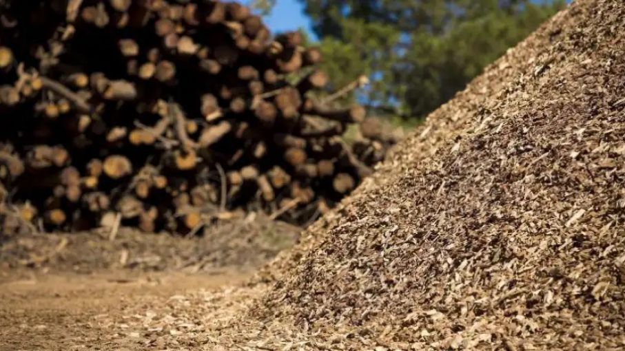 Crean un programa sustentable para el aprovechamiento de energía derivada de los residuos