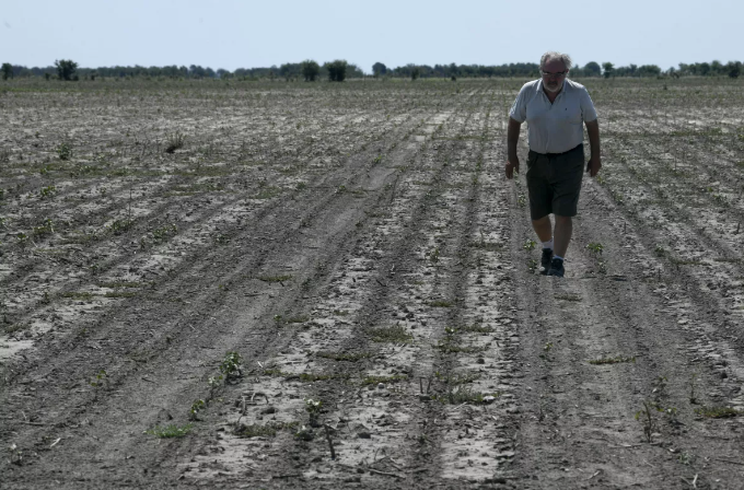 Lluvias en el Medio Oeste no son suficientes para romper la sequía a largo plazo, un 67% del maíz aún está afectado por la sequía
