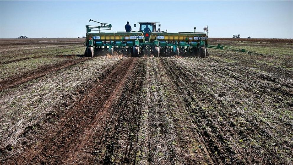 Trigo 2025/26: proyectan una siembra histrica en la zona ncleo que se acercara a los 1,78 millones de hectreas