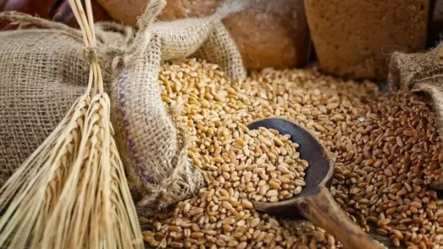 México abrió el mercado para la Cebada en grano originario de Argentina, después de más de 3 años de negociaciones