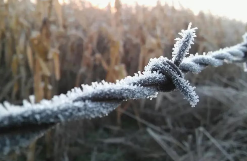 Alerta amarilla por frío extremo: ¿cuál será la temperatura mínima este sábado?