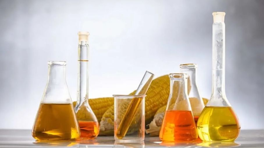 Biodiesel: Economía destina casi $1.000 millones para financiar la adquisición de insumos