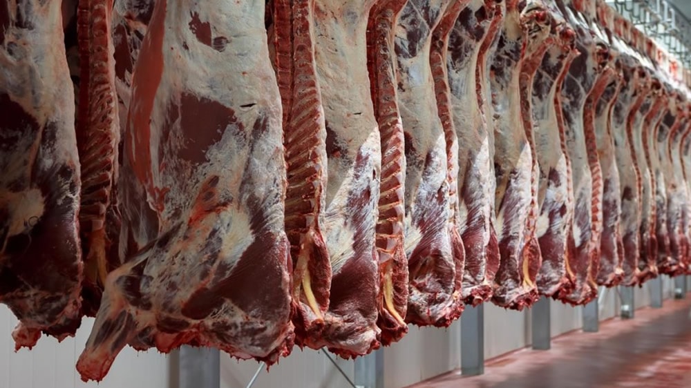 Leve retroceso en faena con aumento de faena de hembras.