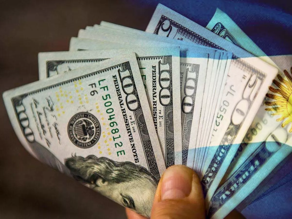 Millones de dólares no declarados de argentinos en el extranjero: la AFIP toma medidas