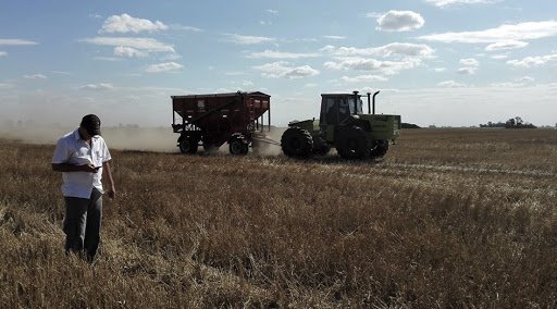 El desfavorable panorama de apoyo a los productores agrícolas en Argentina, según la OCDE
