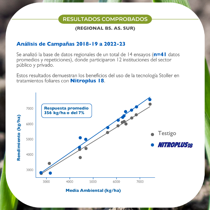 Estrategias para una siembra de trigo eficiente: el papel crucial del nitrógeno