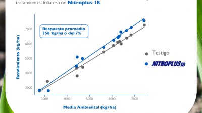 Estrategias para una siembra de trigo eficiente: el papel crucial del nitrógeno