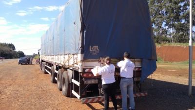 La AFIP incautó más de 224 toneladas de granos valuados en casi $16.000.000