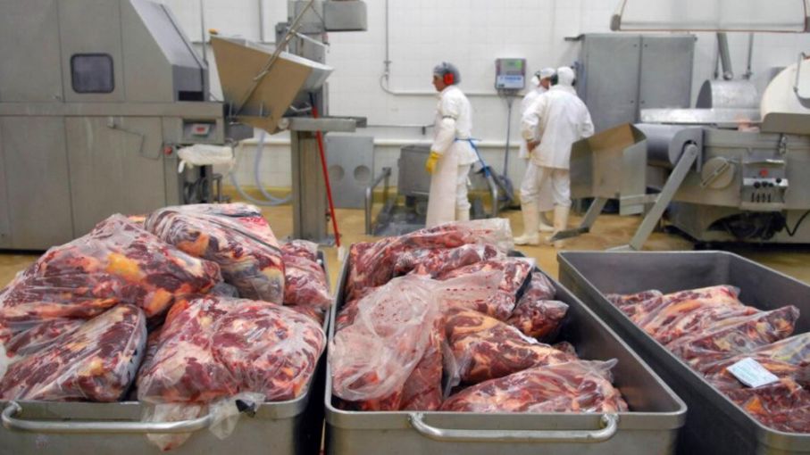 Pronósticos USDA 2023: Exportaciones argentinas proyectan un aumento de 25 mil tec
