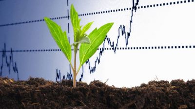 El impacto político y pandémico en el comercio de productos agroquímicos en los Estados Unidos