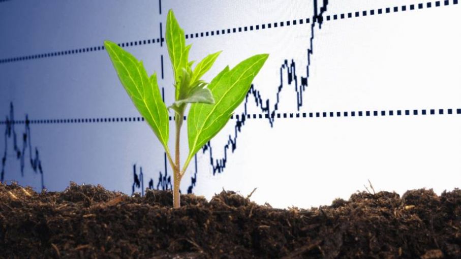 El impacto político y pandémico en el comercio de productos agroquímicos en los Estados Unidos