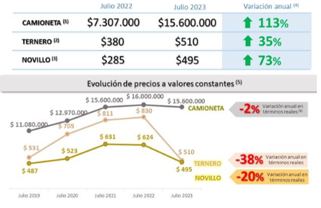 El poder adquisitivo ganadero en caída: ¿Cuántas hectáreas se necesitan para comprar una pick-up?
