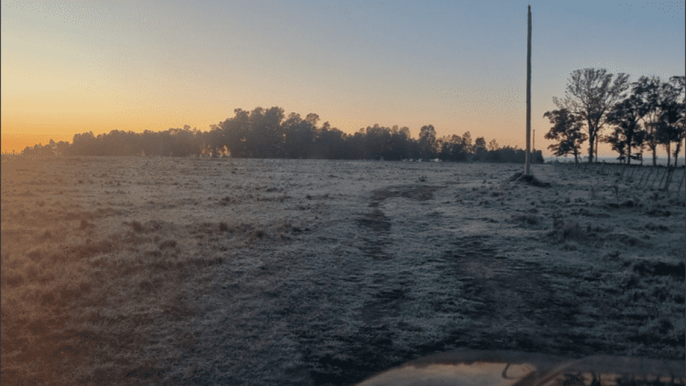 Pronstico del tiempo para las vacaciones de invierno: la segunda quincena de julio arranca muy fra en Argentina!