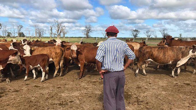 Tensión en el sector rural por pedido de bono de $150.000 para trabajadores