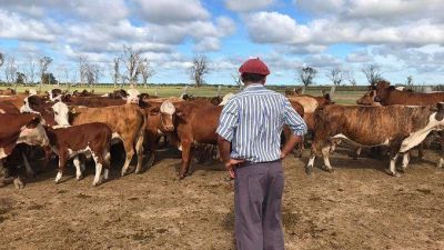 La agroindustria impulsa el 23% del empleo privado en Argentina