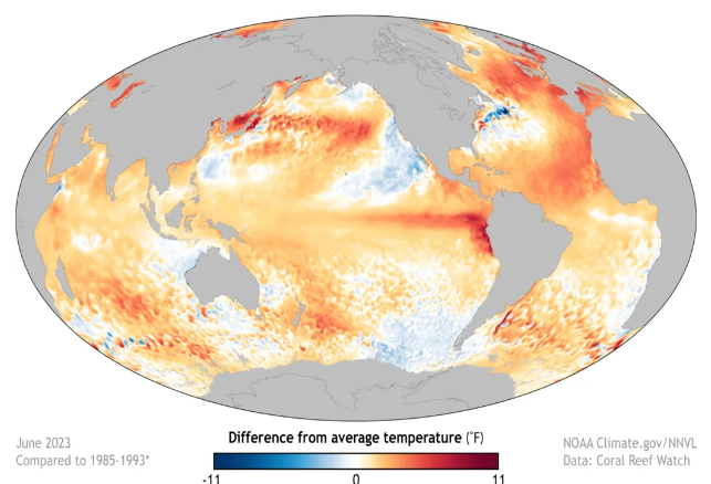 ¿Por qué aún no se declara oficialmente el fenómeno de El Niño? ¡Últimas actualizaciones!