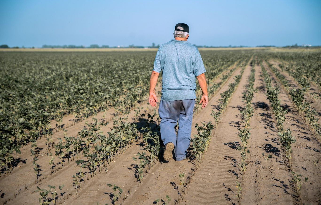 Cartez pide homologación a nivel nacional de la emergencia agropecuaria