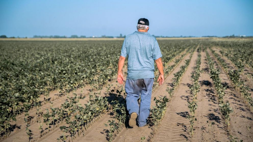 Cartez pide homologacin a nivel nacional de la emergencia agropecuaria