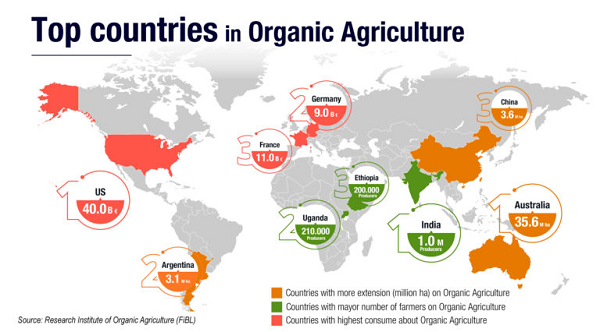 Argentina, tercer país con mayor superficie sembrada de productos orgánicos en busca de oportunidades globales