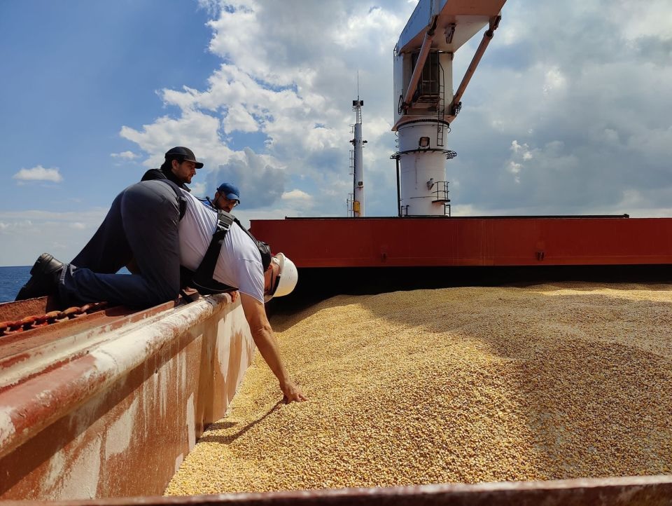 Rusia redujo los envíos de cereales en un 18% del 1 al 20 de mayo 