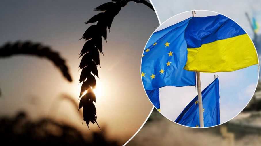 La UE ofrecerá a Ucrania aceptar ampliar la prohibición de las exportaciones de cereales ucranianos a cinco países.