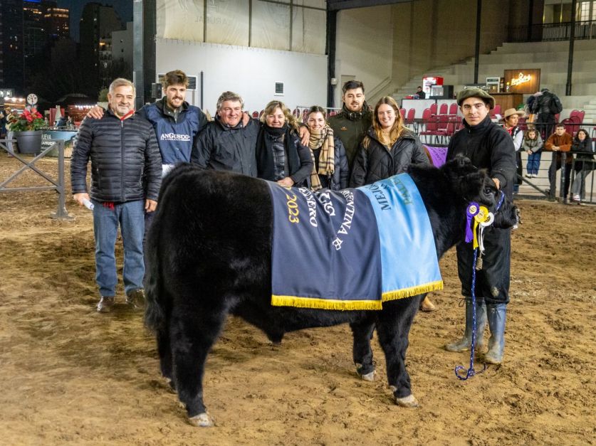 Indio Nuevo y Spinella se destacan en Palermo como Gran Campeón Ternero y Gran Campeón Ternera