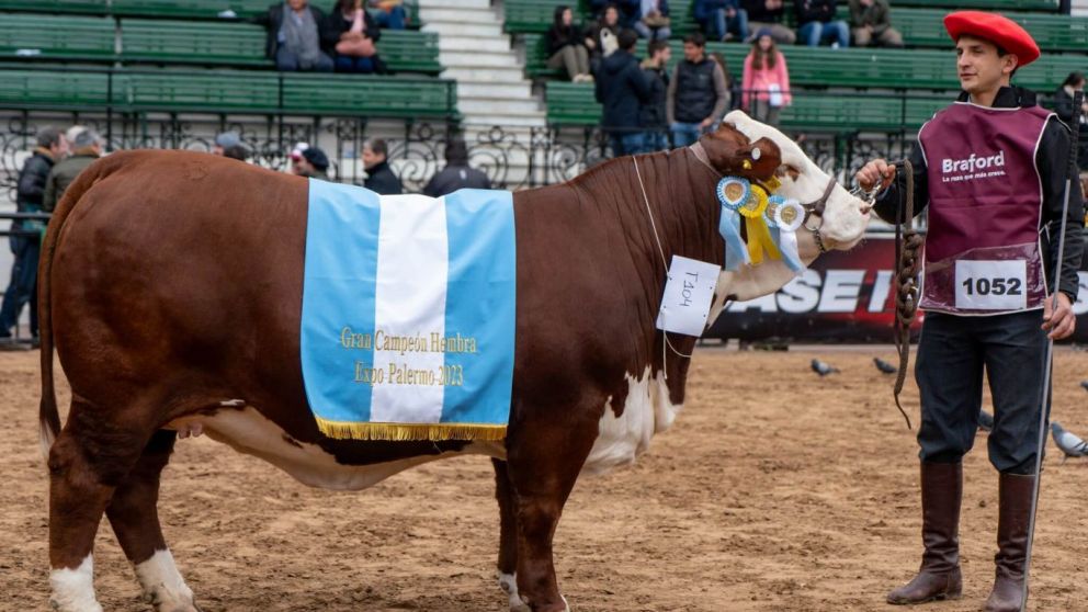 "Rcord en la 135 Exposicin Rural de Palermo: Vacas Braford lideran los remates con venta histrica de $28 millones"