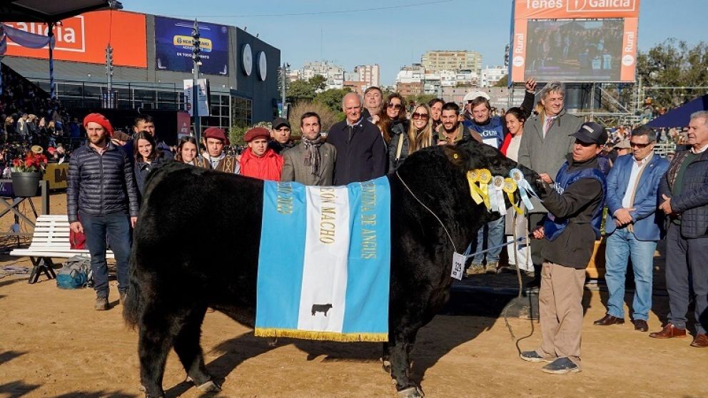 Angus 2023: Cabaa Arand se alza con el Gran Campen Macho en La Rural