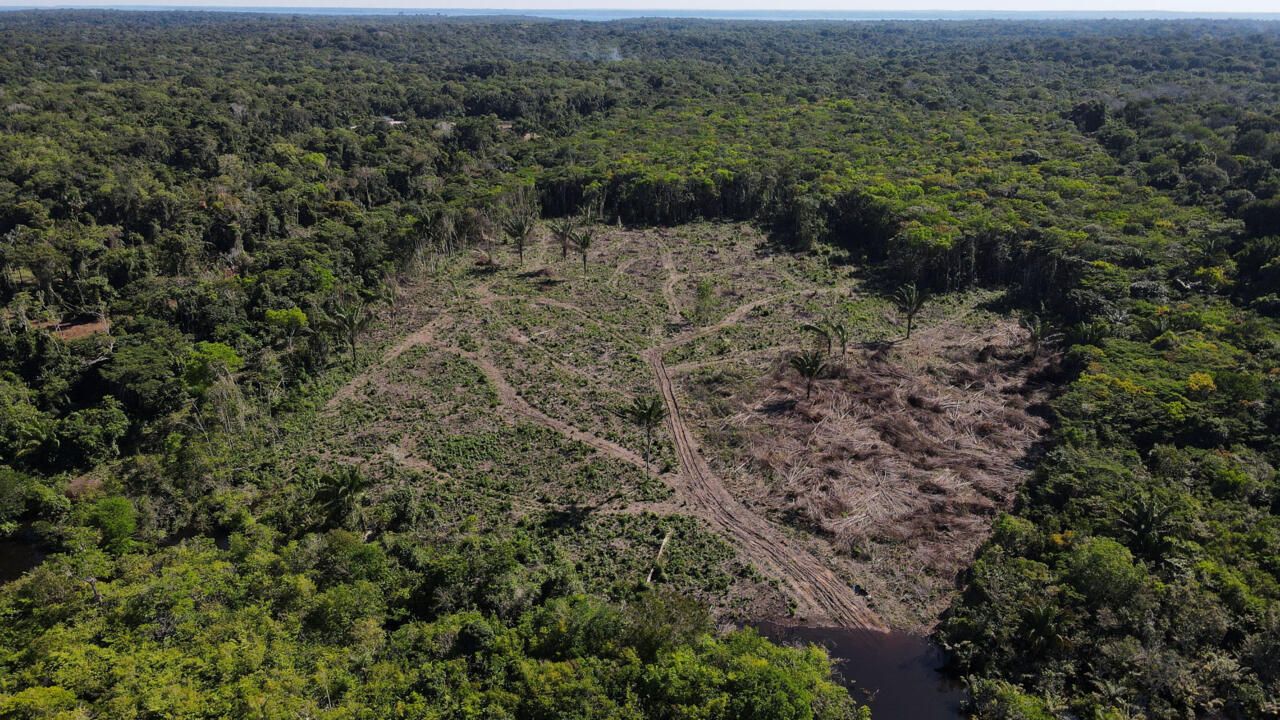 Brasil necesita una inversión de 47.000 millones de dólares para restaurar sus bosques y cumplir con los objetivos climáticos