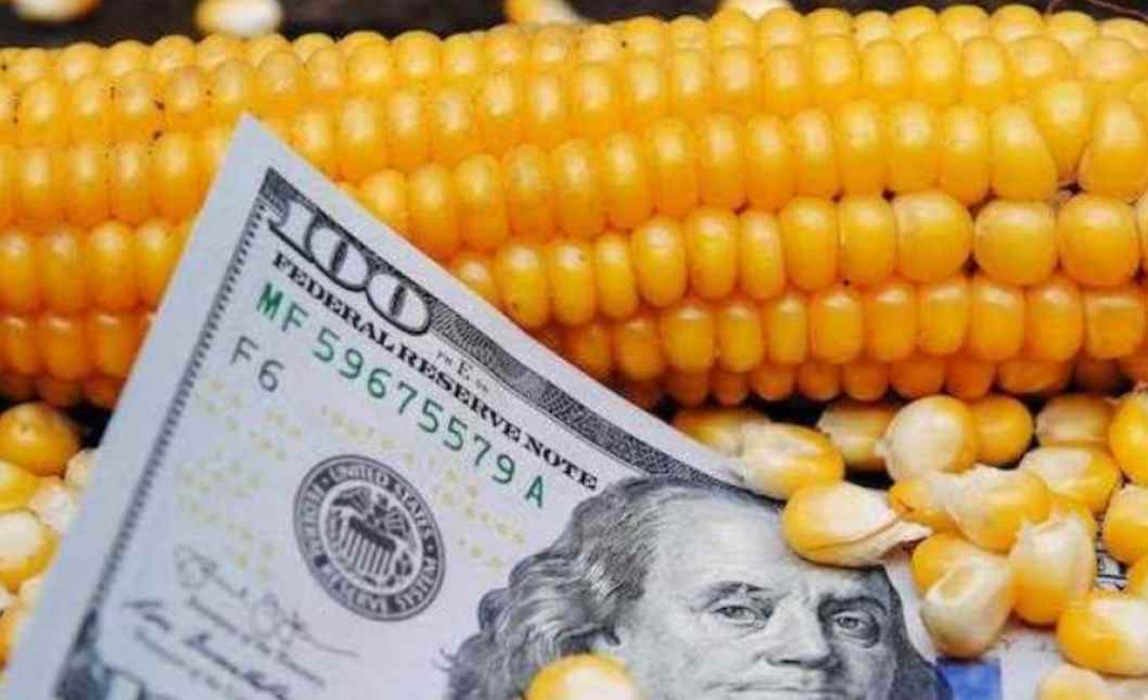 Los exportadores de granos superaron la meta inicial del PIE 4 e ingresaron US$ 2.127 millones