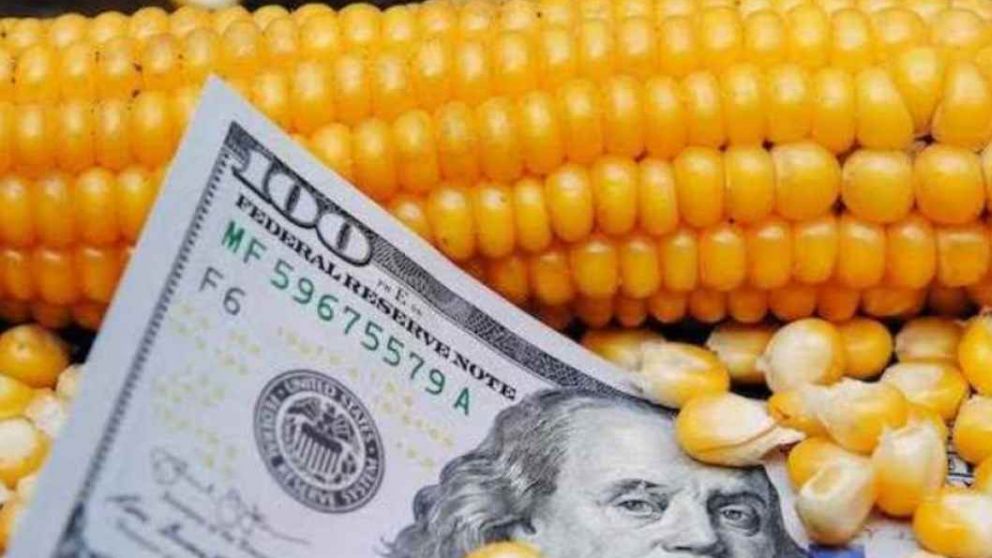 Los exportadores de granos superaron la meta inicial del PIE 4 e ingresaron US$ 2.127 millones
