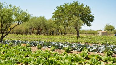 Por qué la Agricultura Regenerativa hoy es clave en los sistemas productivos