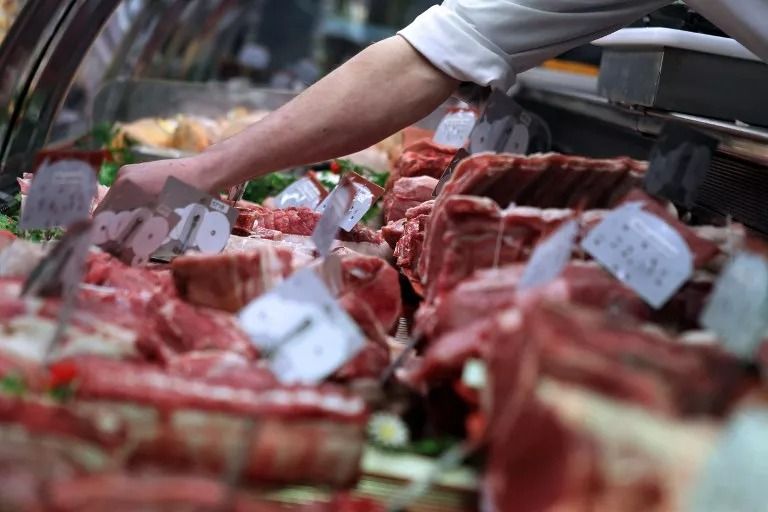 Japón levanta restricciones y reanuda importaciones de aves de corral de Brasil