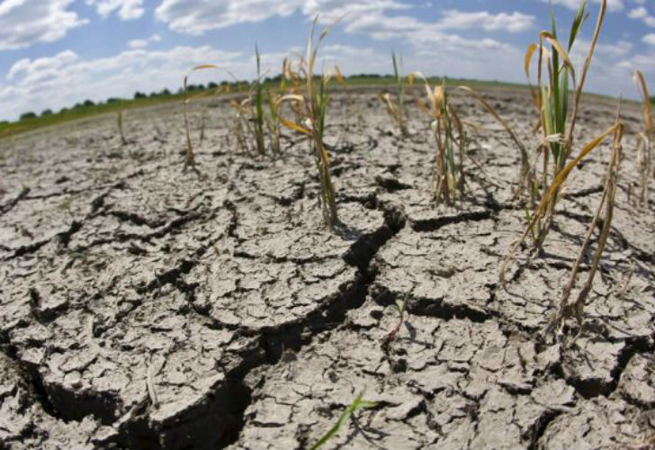Sequía en Argentina: Impacto Regional en la Producción y Economía, Provincia por Provincia