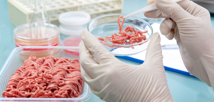 Desarrollan un método para garantizar la autenticidad de la carne vacuna