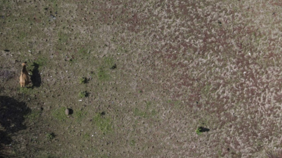 Cómo la Tecnología Satelital Ayuda a los Agricultores a Adaptarse al Cambio Climático Global